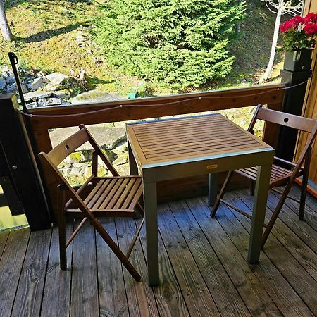 Gemuetliche Fewo Mit Sauna Inmitten Der Berge Meiringen Exterior photo