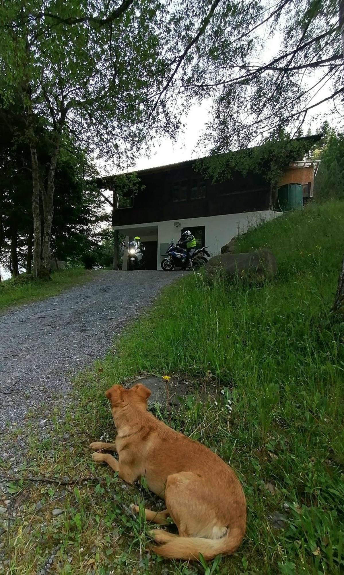 Gemuetliche Fewo Mit Sauna Inmitten Der Berge Meiringen Exterior photo